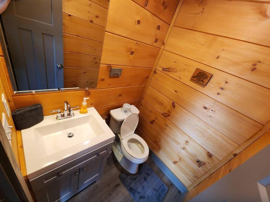 Dancing Bear Cabin- Relax & Enjoy! Sevierville Zewnętrze zdjęcie